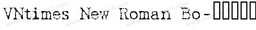 VNtimes New Roman Bo字体转换